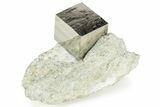 Natural Pyrite Cube In Rock - Navajun, Spain #227618-1